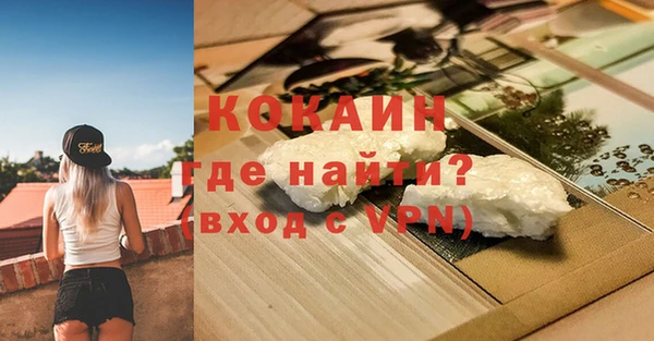 индика Сафоново