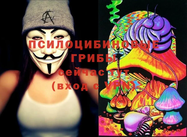 мяу мяу мука Алзамай