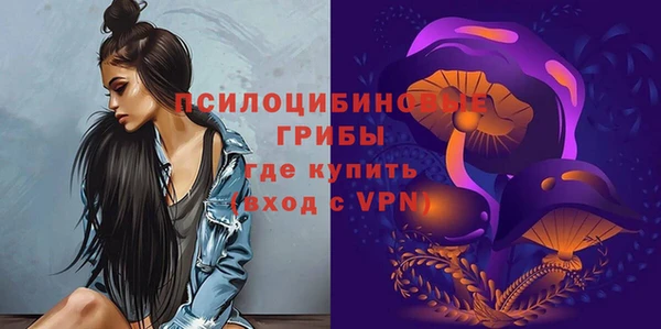 прущий лед Семёнов