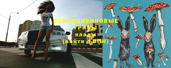 индика Сафоново
