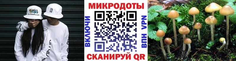 mega как войти  Нефтекумск  Галлюциногенные грибы Magic Shrooms  купить наркотик 