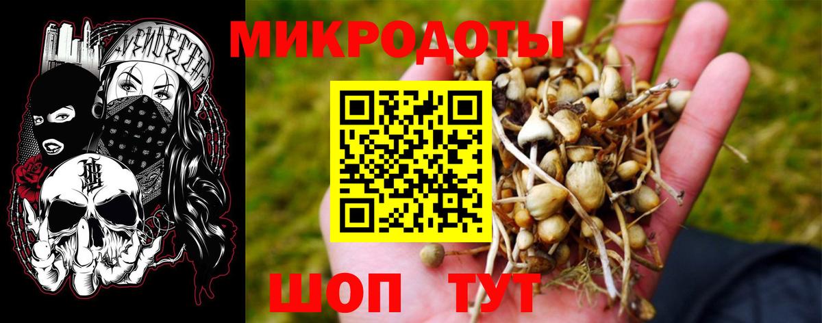 Псилоцибиновые грибы прущие грибы Нефтекумск
